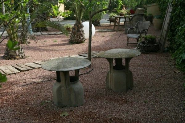 jardines-plantas (10).jpg